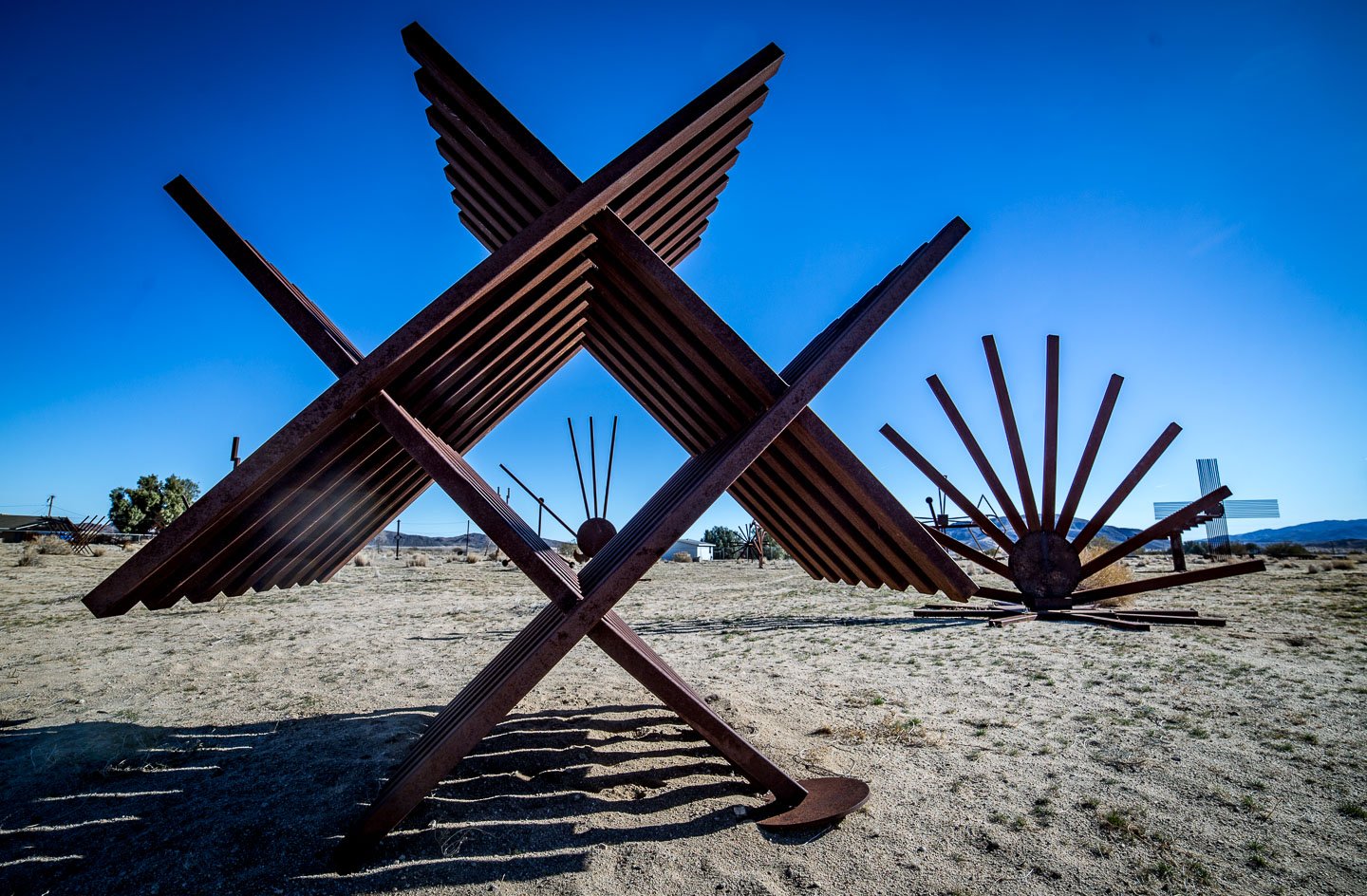 Simi Dabah welded steel sculptures in the Joshua Tree garden